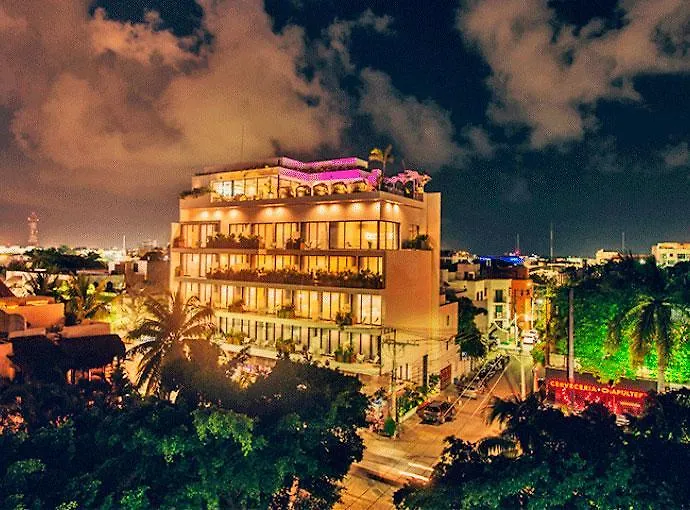 פלאייה דל כרמן Calixta Hotel